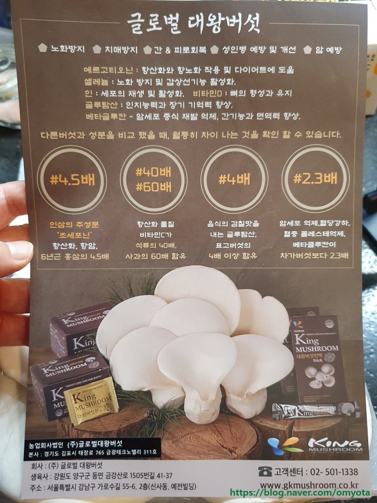 글로벌대왕버섯 이미지