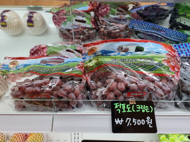 유성청과 이미지