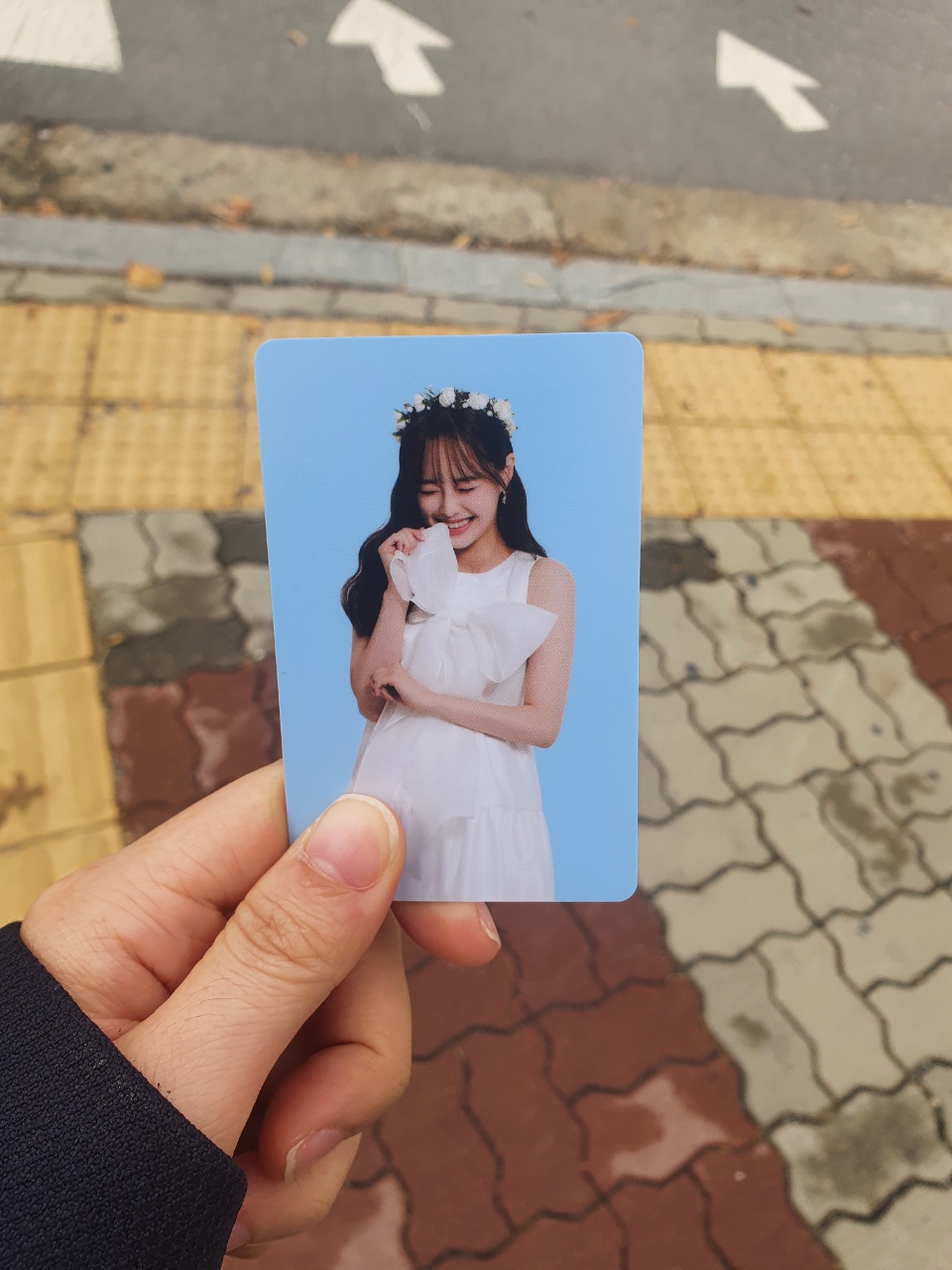 포토마켓 이미지