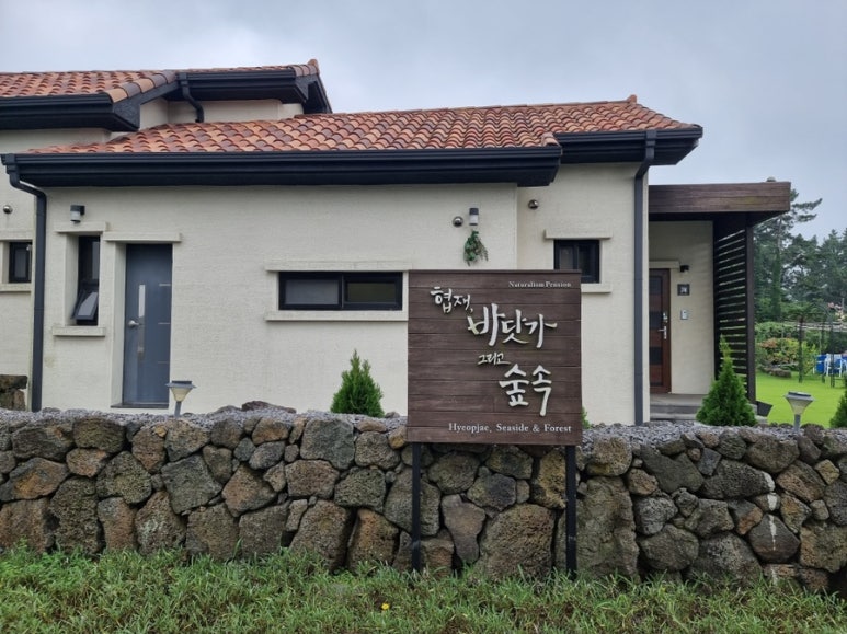 협재바닷가그리고숲속 이미지