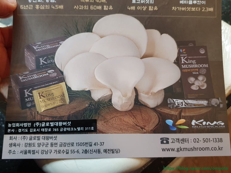 글로벌대왕버섯 이미지