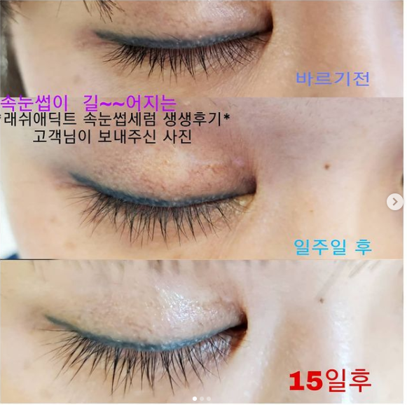 도도브로우 이미지