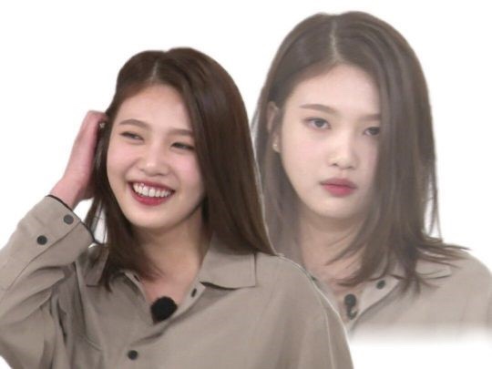 레드랫 이미지