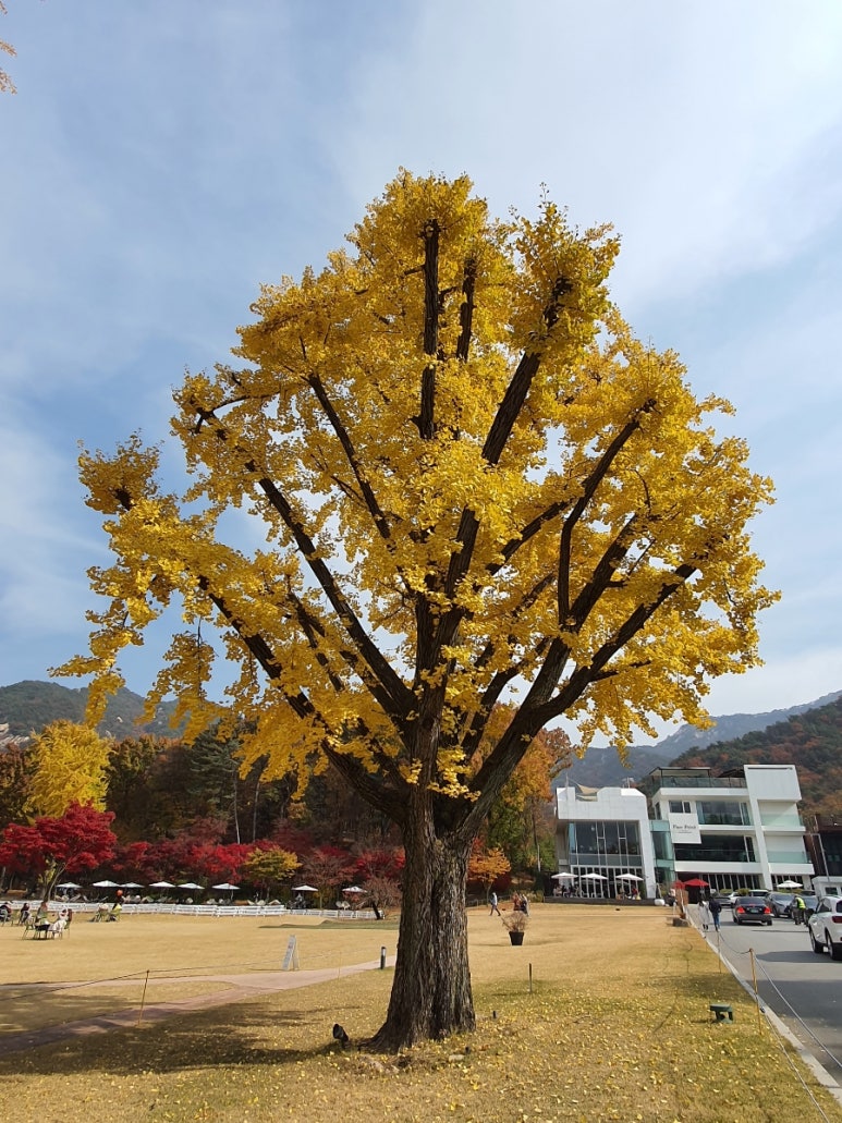 파크프리베 이미지