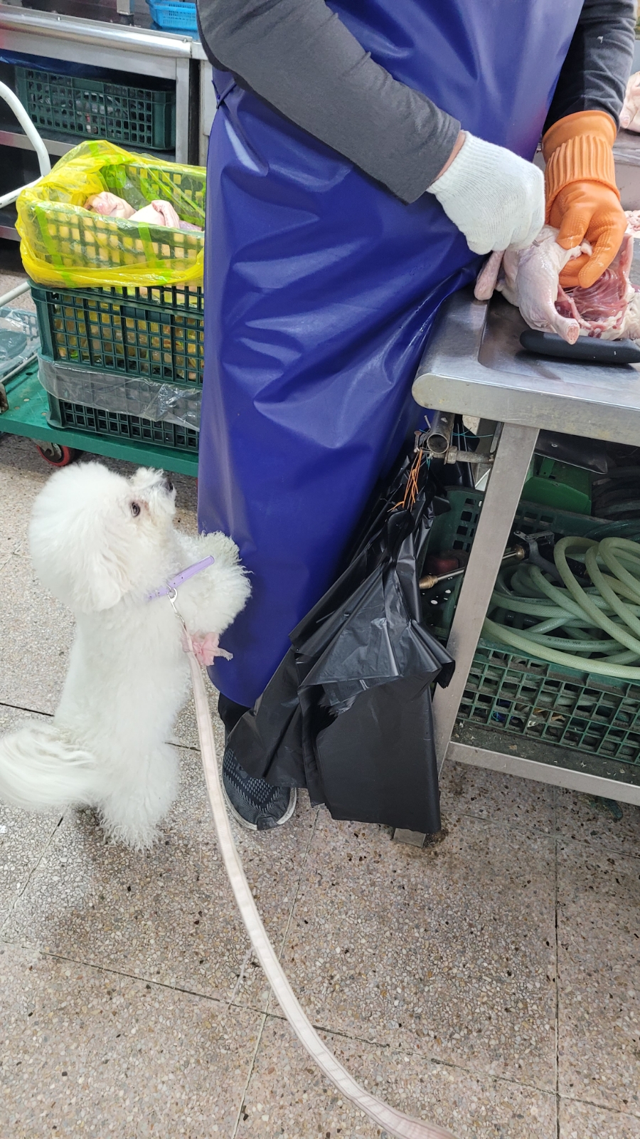 정성유통 이미지