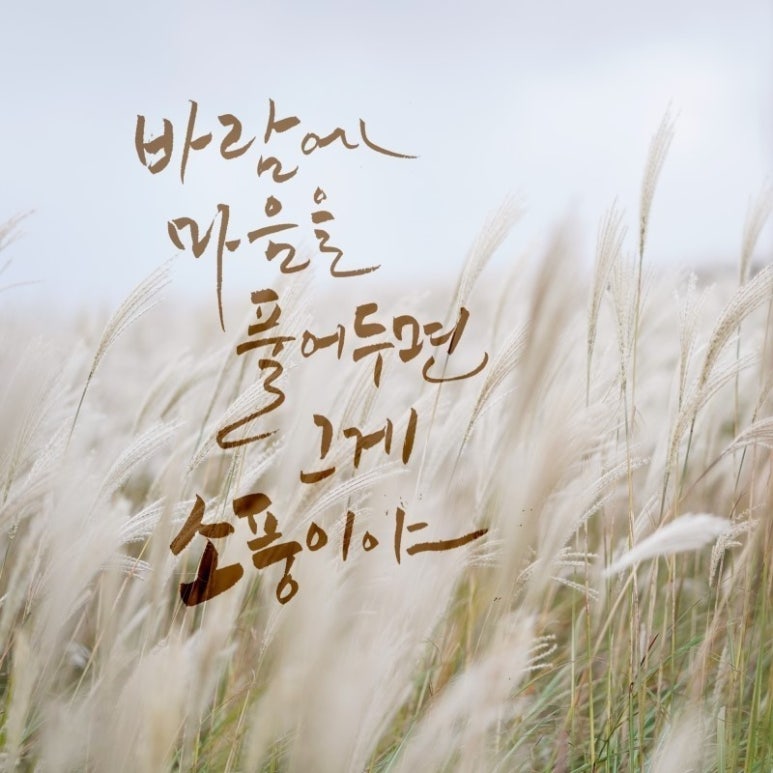 베니르 이미지