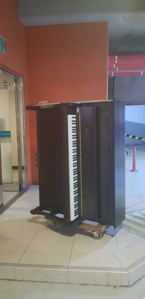 숙명피아노음악학원 이미지