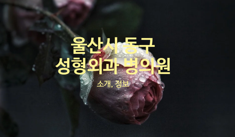 창조피부과의원 이미지