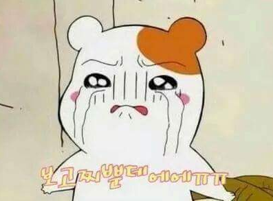 아이올라 이미지