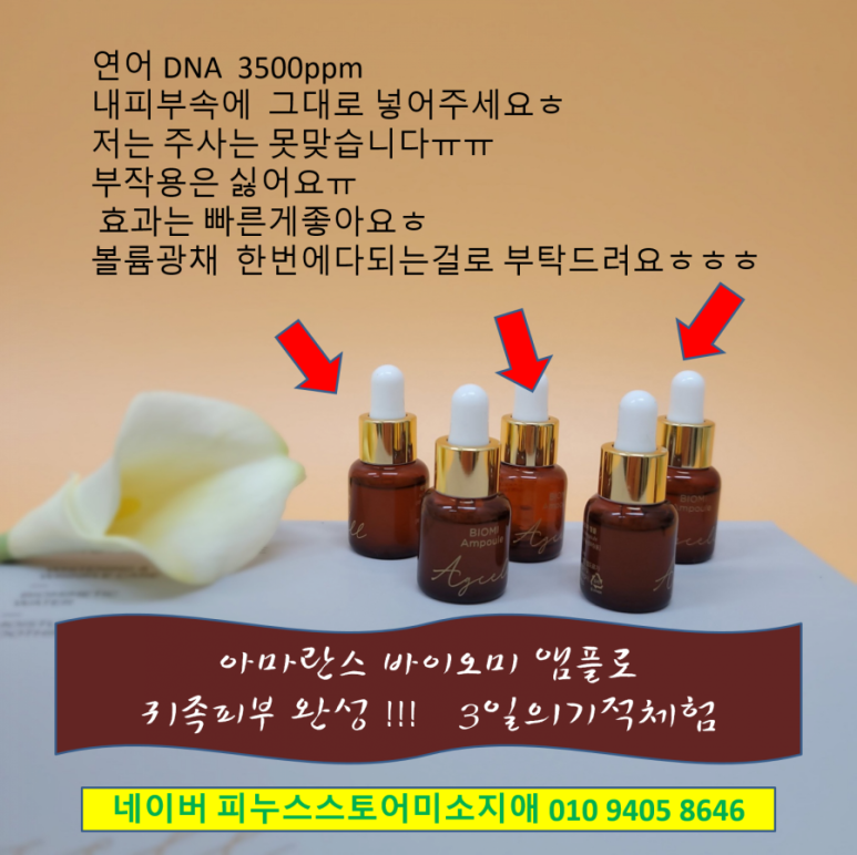 피누스스토어 일류 이미지
