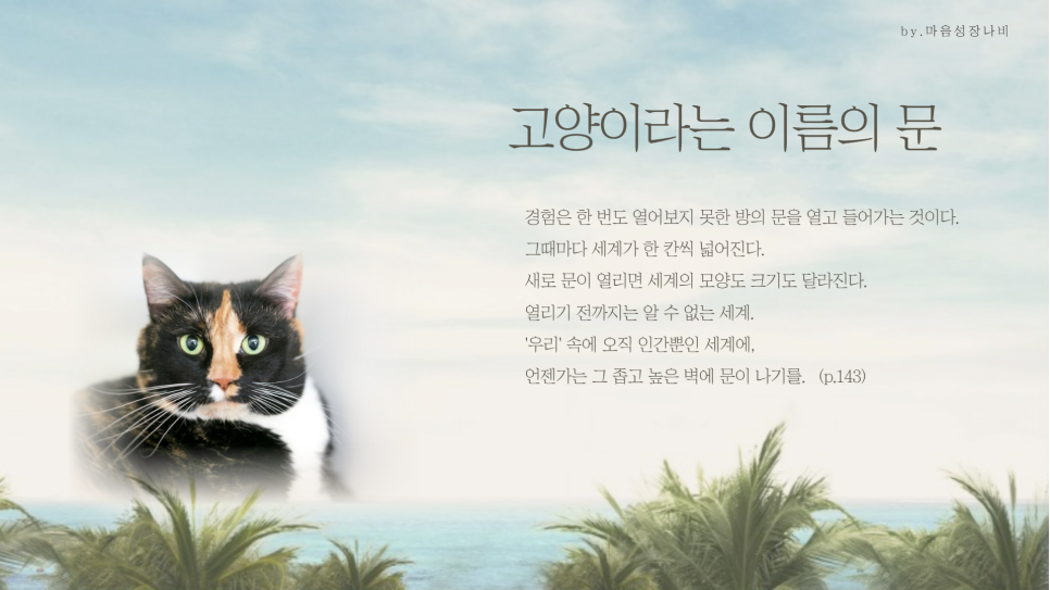 차한잔의자유 이미지
