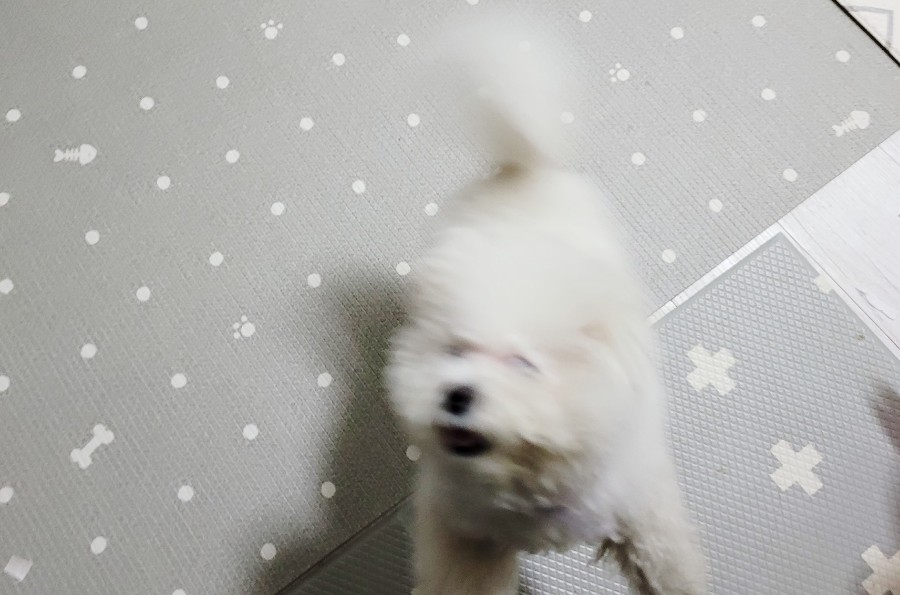 정성유통 이미지