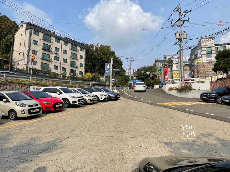 시흥 멍트럴파크 애견운동장, 부천에서도 가까운 힐링 공간 — 사진 3