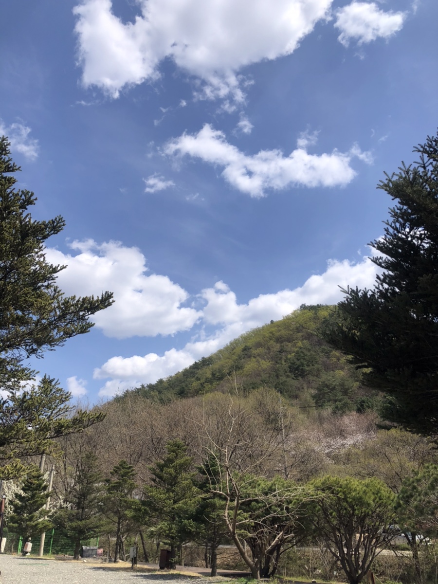갈기산캠핑장 이미지
