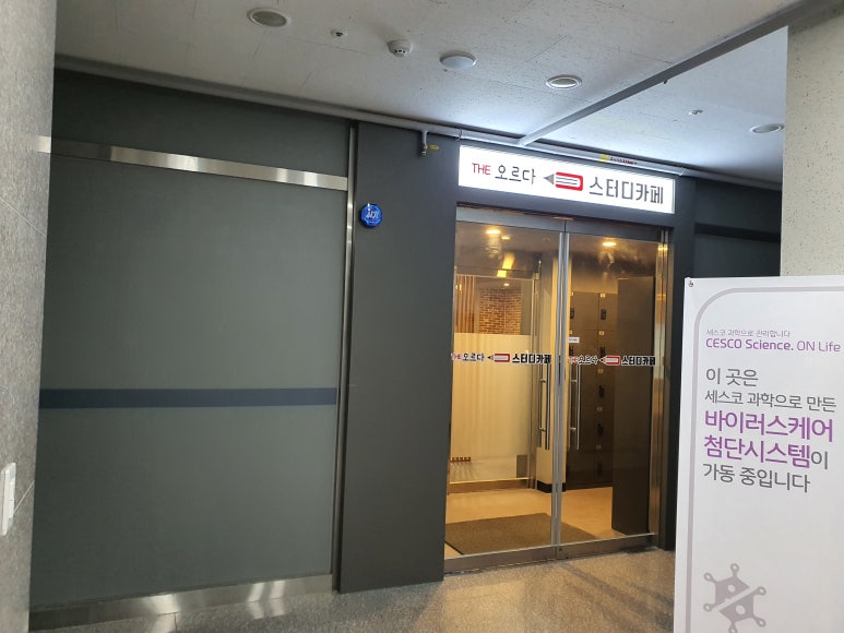더오르다스터디 이미지