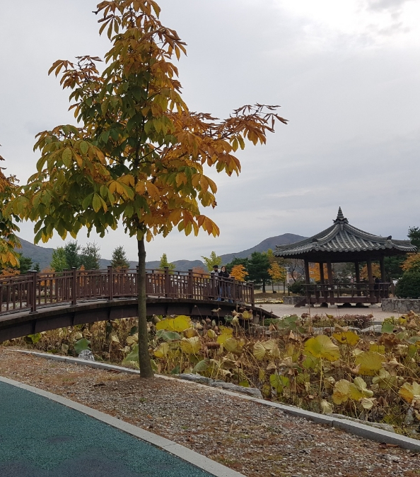 동창지점 이미지