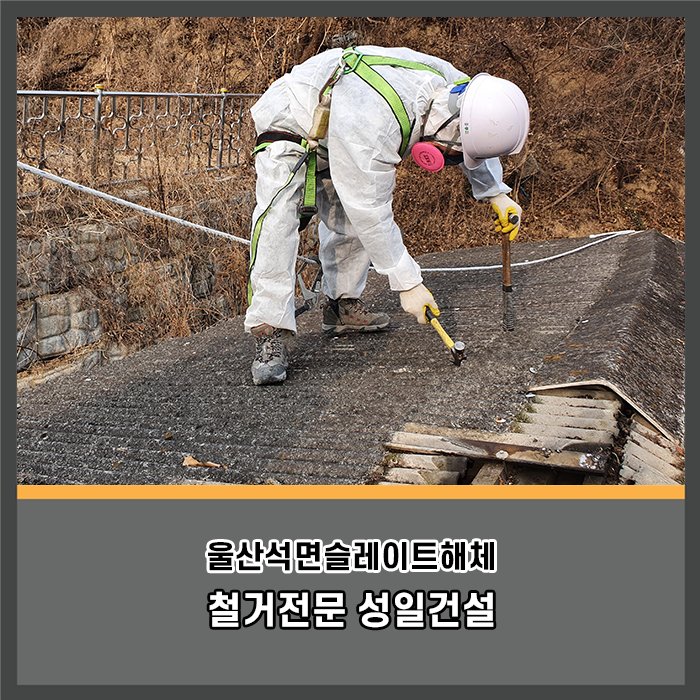 성일건설 이미지