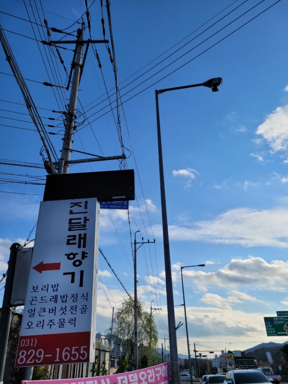 진달래밥상 이미지