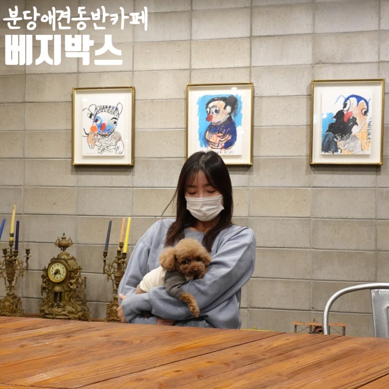 베지박스 이미지