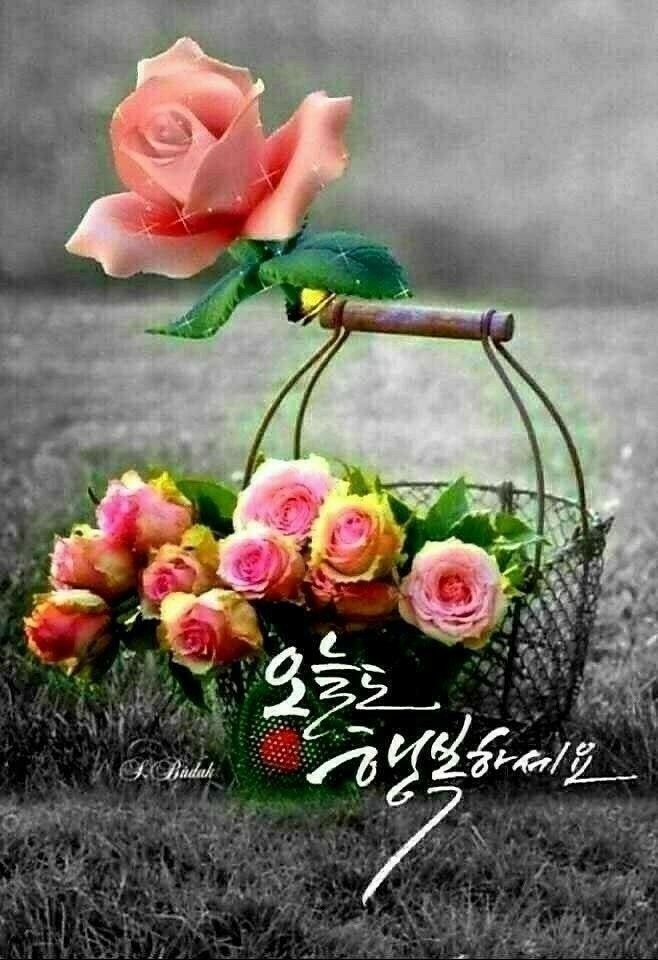 부에노스디아스 이미지
