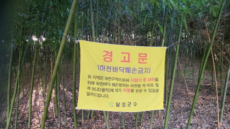다사가 이미지