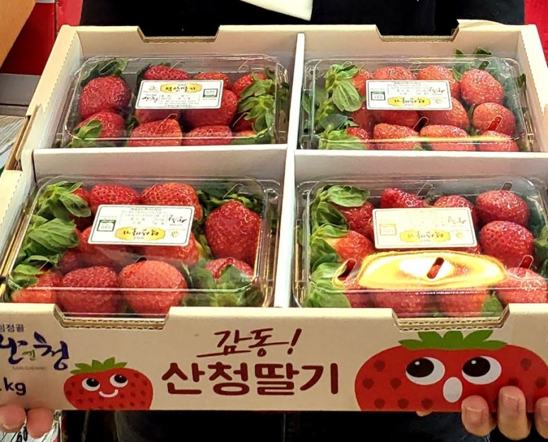 신광청과 이미지