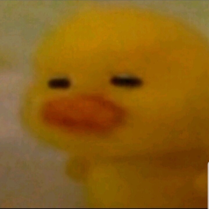 한결31 이미지