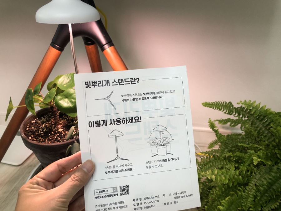 태양전파사 이미지