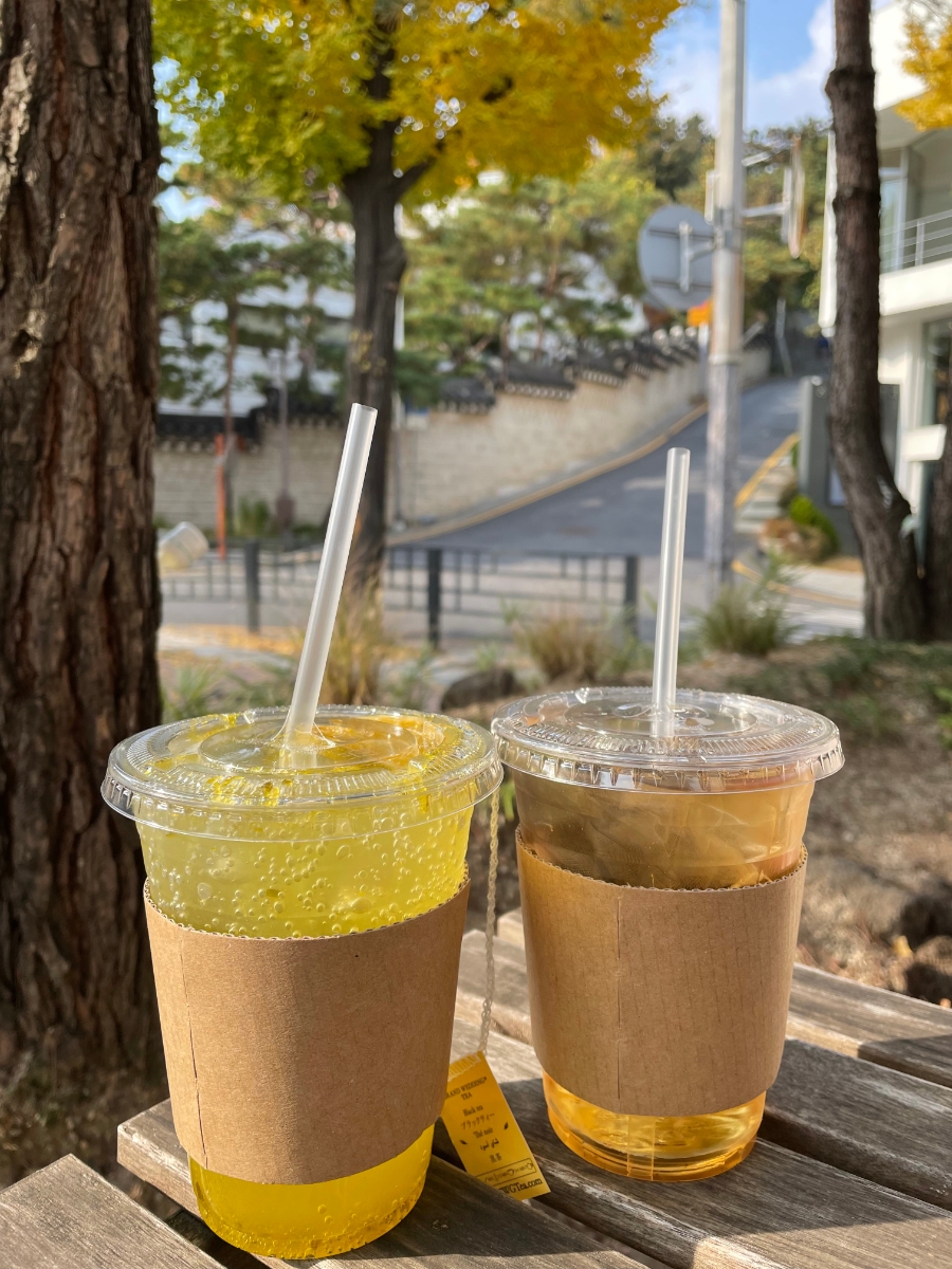 데일리브라운 이미지