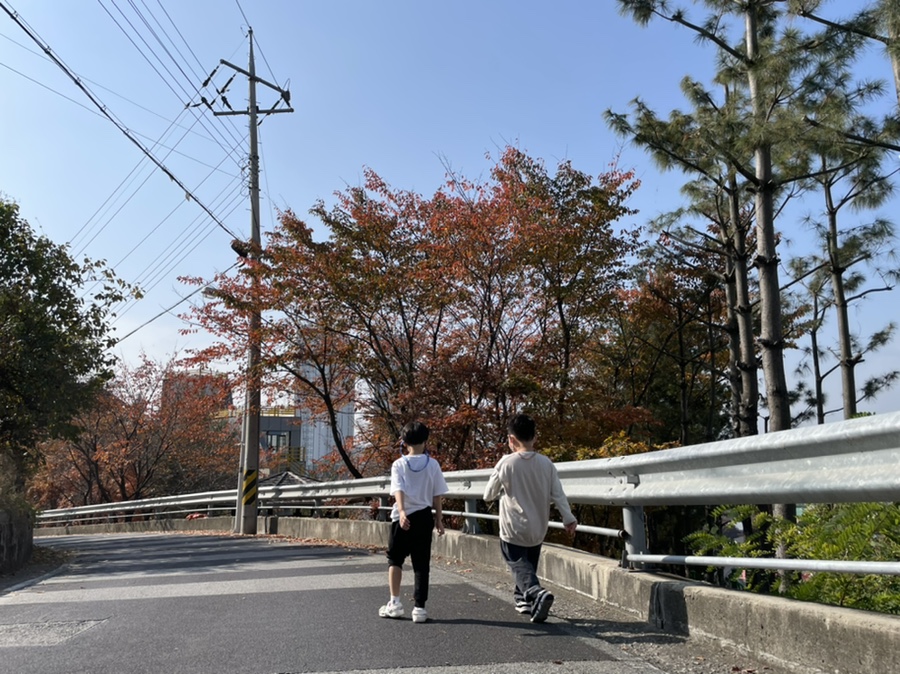 카페다래 이미지