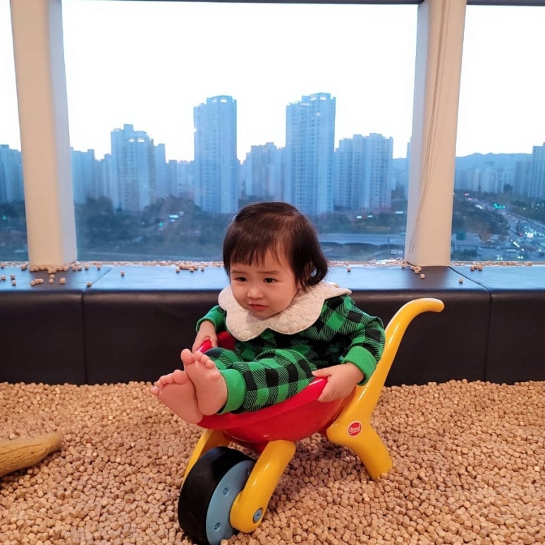 하리몽드 이미지