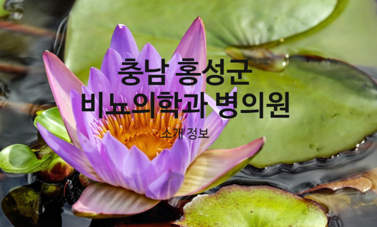 유재명피부과 이미지