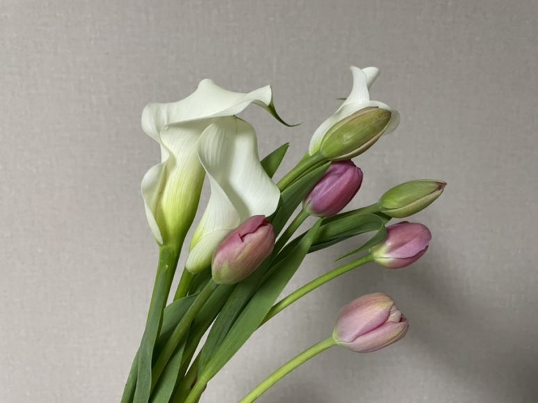 오늘, 꽃데이 이미지