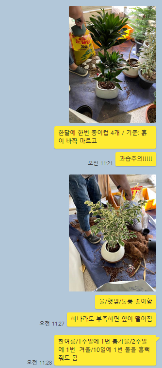 닥터가든경남점 이미지