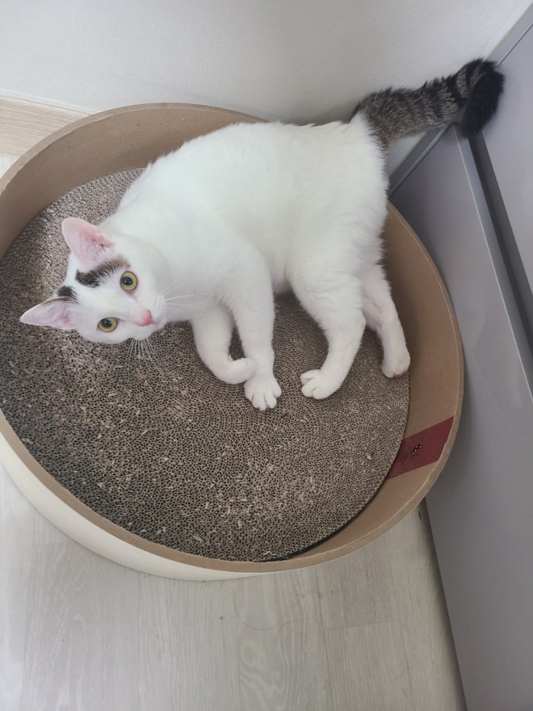 용추글램핑 이미지