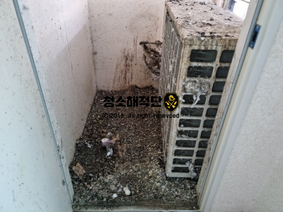 청소해적단 이미지