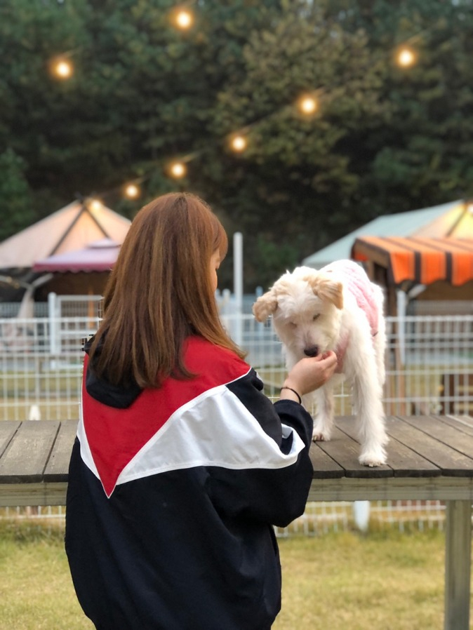 멍글멍글펫글램핑 이미지