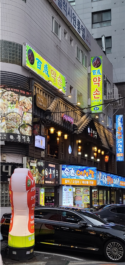 백세투어 이미지