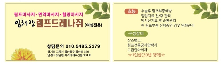 임채강림프드레나쥐 이미지