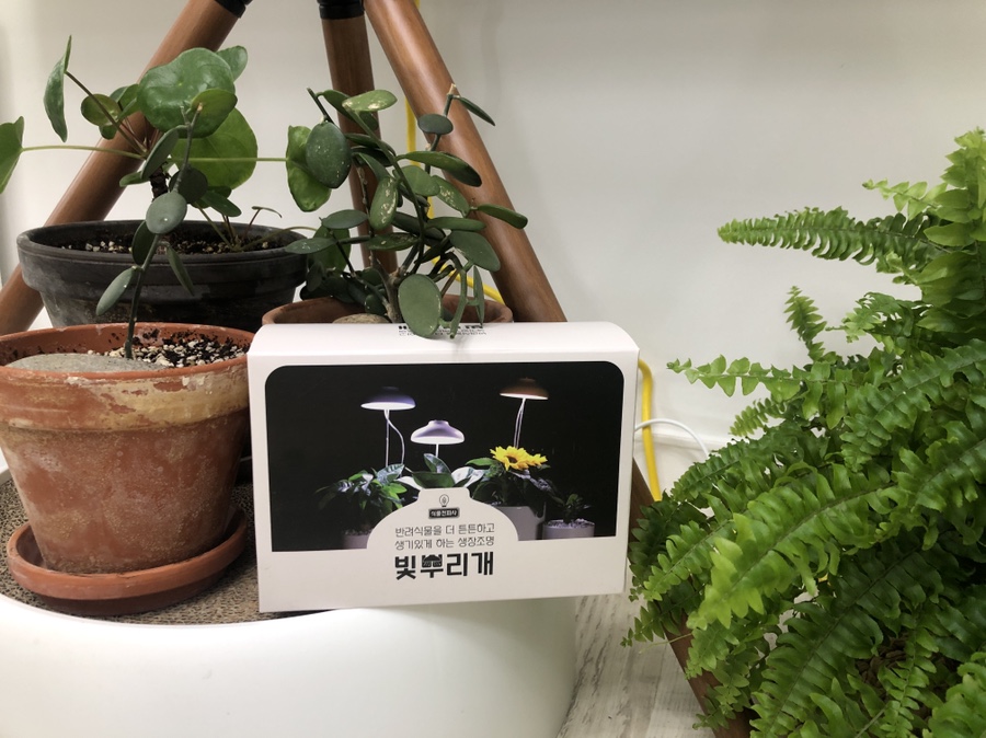태양전파사 이미지