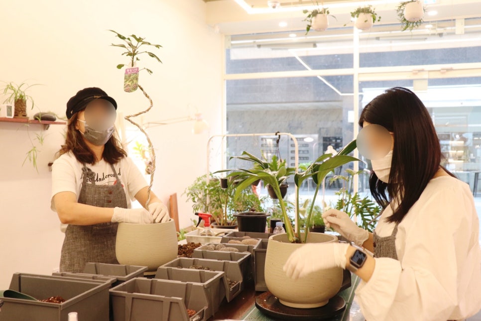 비비아르플랜트 이미지