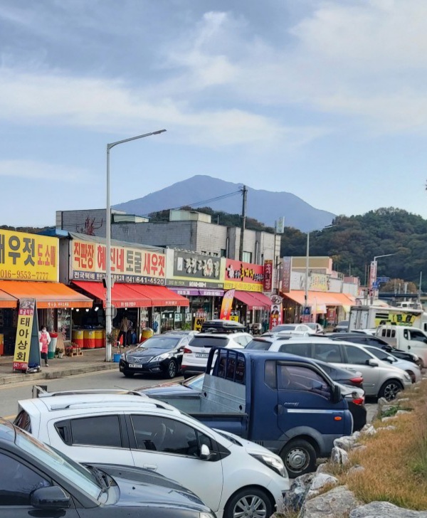 광천 진 새우젓 이미지