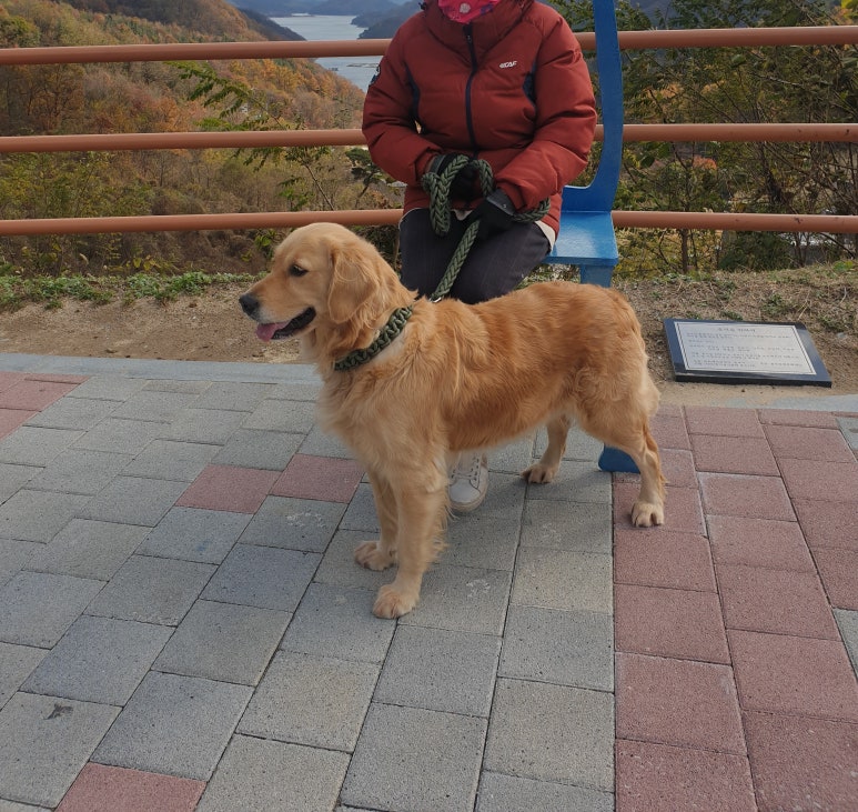 대광타이어 이미지
