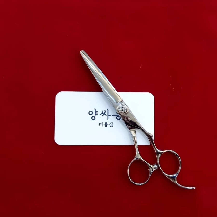 양싸롱 이미지