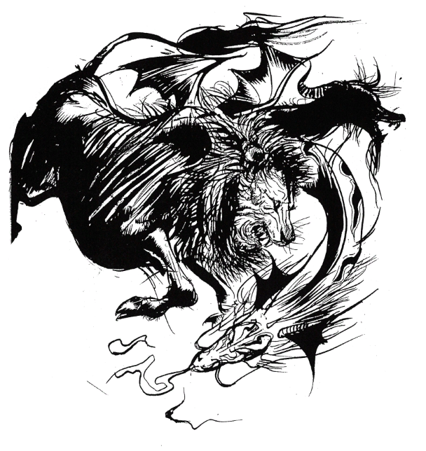 My Image 48