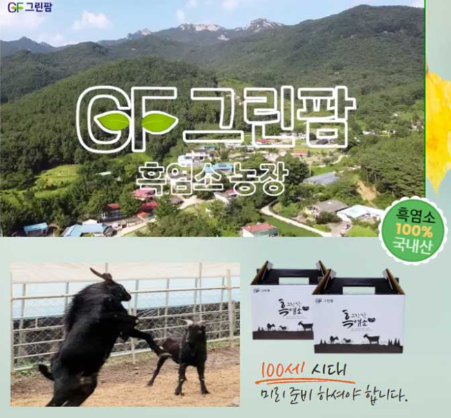 100세흑염소 이미지