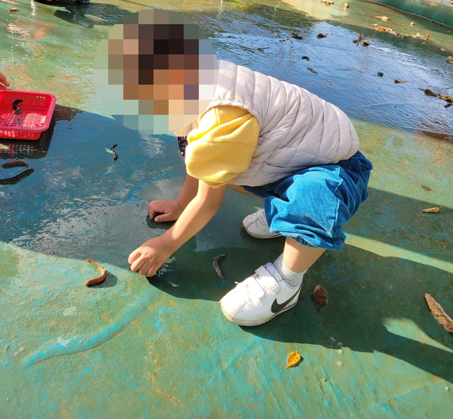 후사랑밀크(환희목장) 이미지