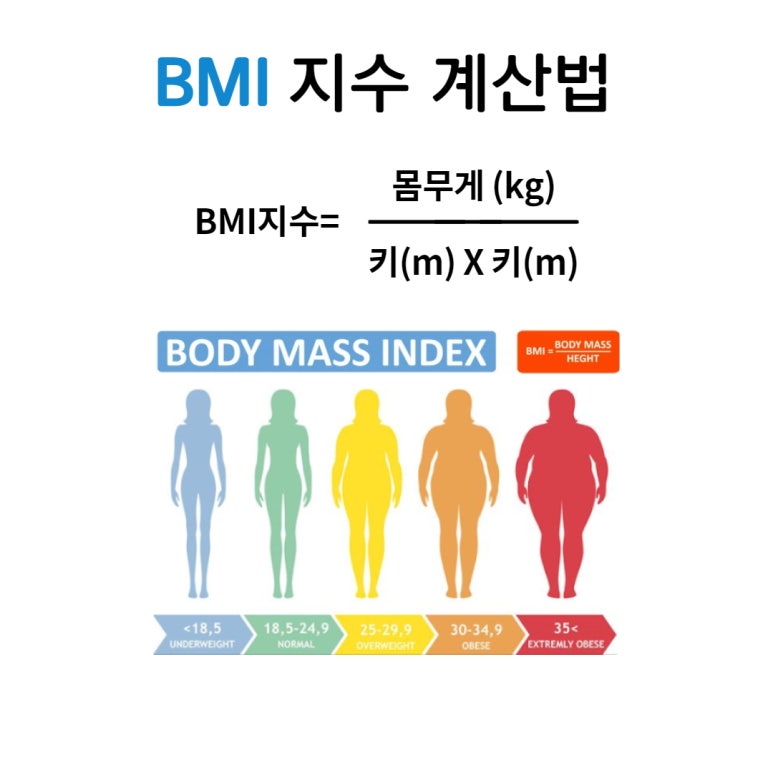 체형/비만 관리 이미지