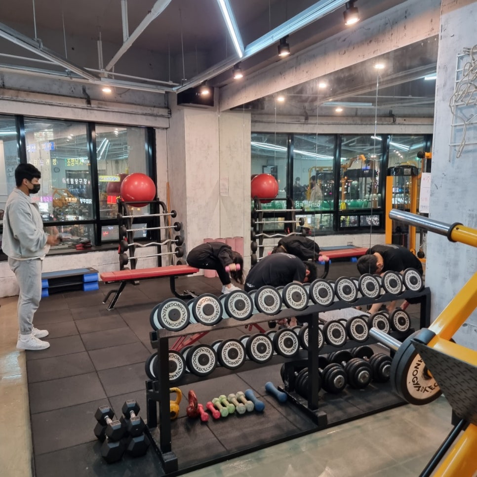 하이바디짐 이미지