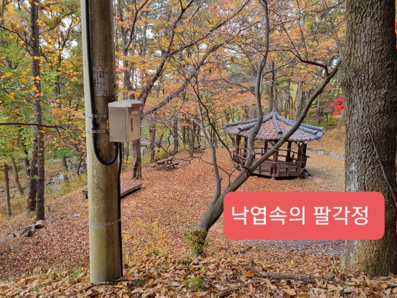 두암떡방앗간 이미지